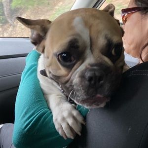 Meet your Posher, Annelise